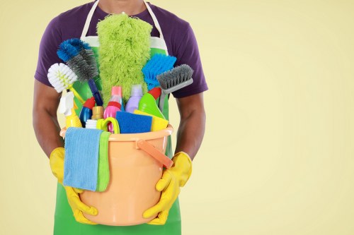 Professional cleaners working in a Mayfair luxury apartment