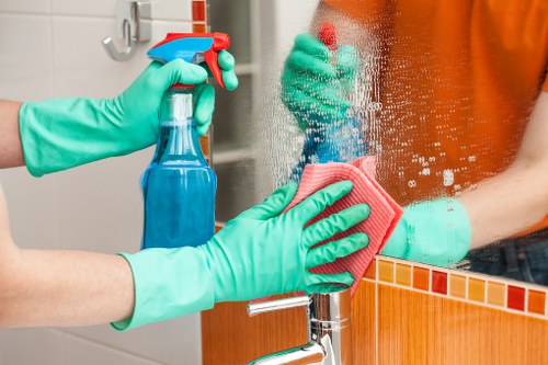 Professional window cleaning in Mayfair for elegant properties