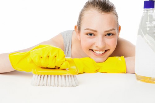 Deep carpet cleaning equipment used by a carpets cleaner in Mayfair