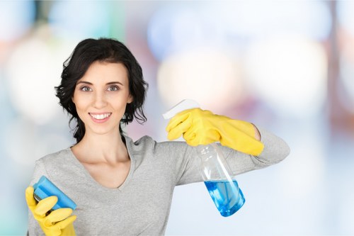 Eco-friendly carpet cleaning service in Mayfair