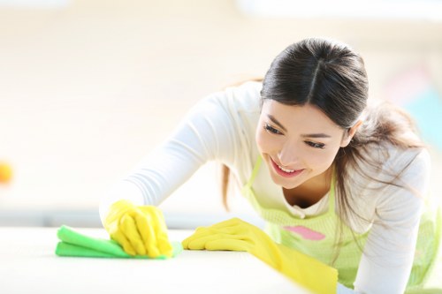 Living room deep cleaning for a Mayfair residence