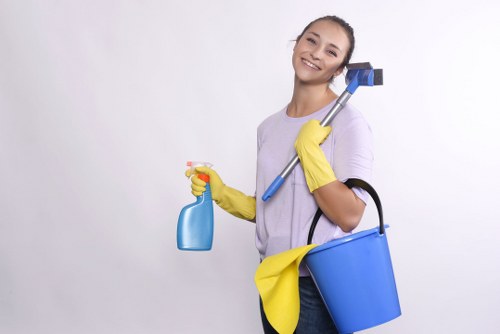 Domestic cleaning service in a stylish Mayfair home