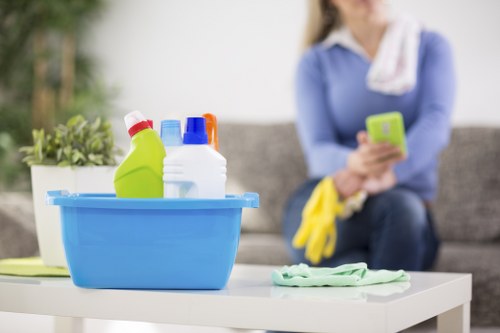 Transparent pricing model for carpet cleaning in Mayfair