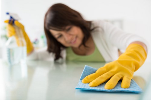 Careful cleaning of refined Mayfair home furnishings