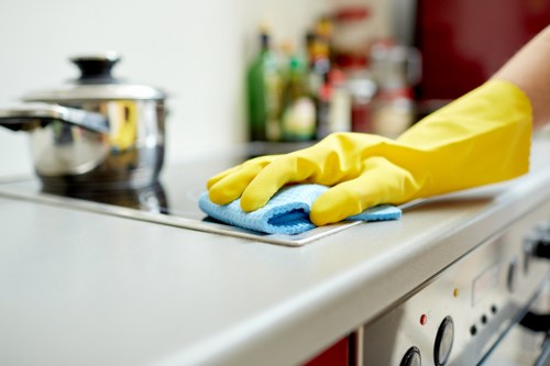 Detail-focused Mayfair carpet cleaning standards and values