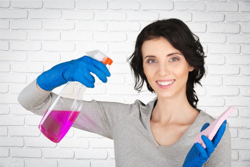 Detailed bathroom cleaning in a Mayfair home
